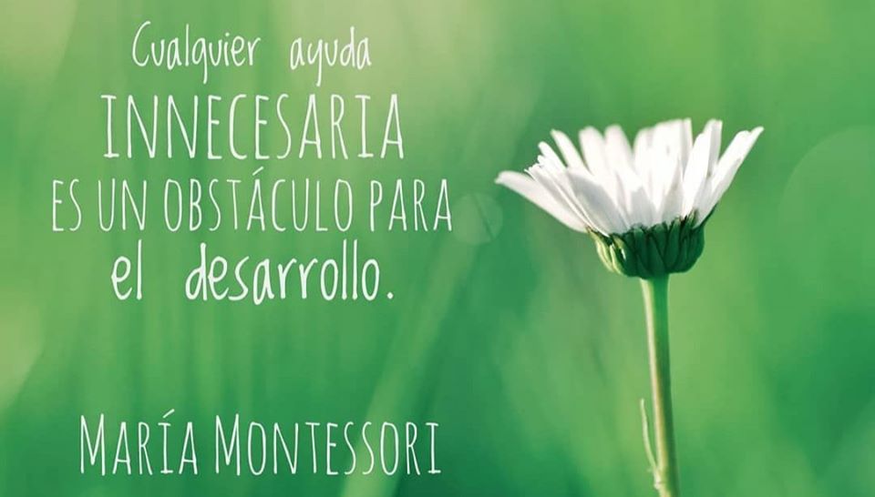 Maria Montessori frase de educación